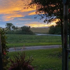 Meet your Posher, Posh